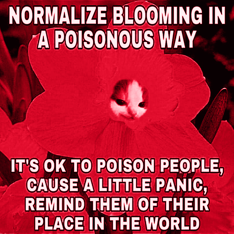 Red image of a flower with the face of a mischievous kitten at its center. Text in the image reads: Normalize blooming in a poisonous way. It's OK to poison people, cause a little panic, remind them of their place in the world.